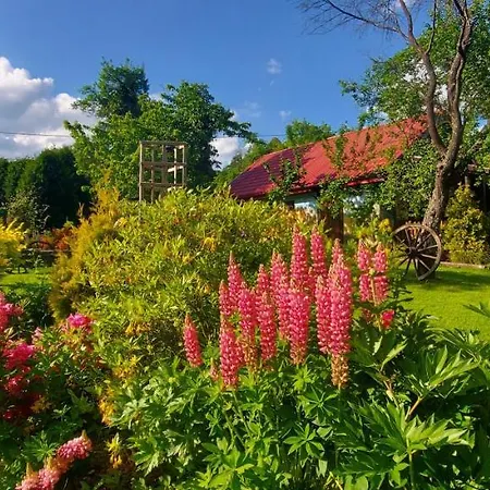 U Helci - Na Krancu Swiata - Azyl Tylko Dla Doroslych Alloggio per agriturismo Studzienno