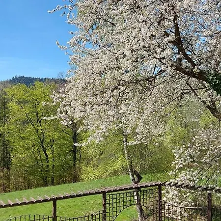 U Helci - Na Krancu Swiata - Azyl Tylko Dla Doroslych
