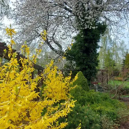 U Helci - Na Krancu Swiata - Azyl Tylko Dla Doroslych * Studzienno