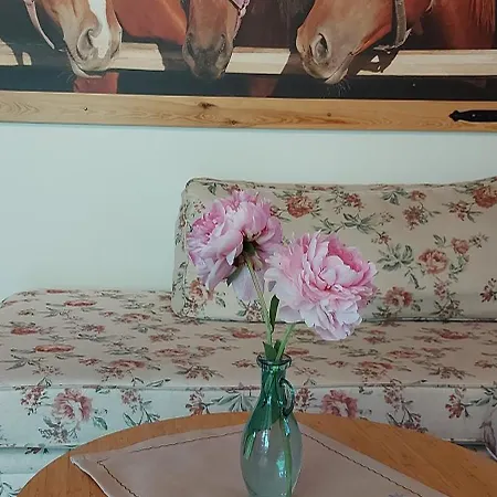 U Helci - Na Krancu Swiata - Azyl Tylko Dla Doroslych * Studzienno