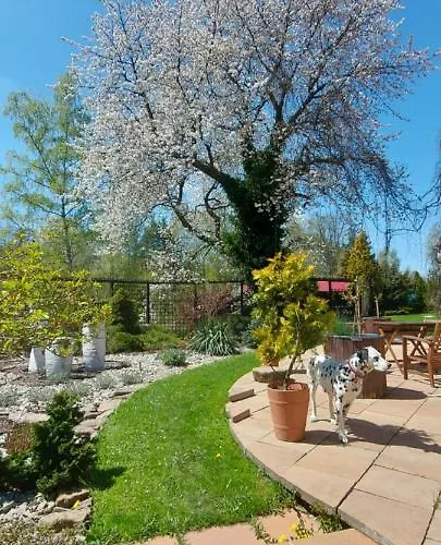 U Helci - Na Krancu Swiata - Azyl Tylko Dla Doroslych ファームステイ Studzienno