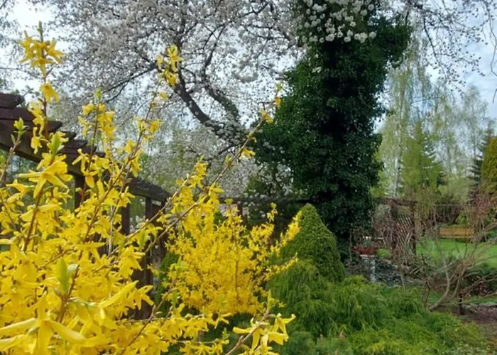 U Helci - Na Krancu Swiata - Azyl Tylko Dla Doroslych * Studzienno